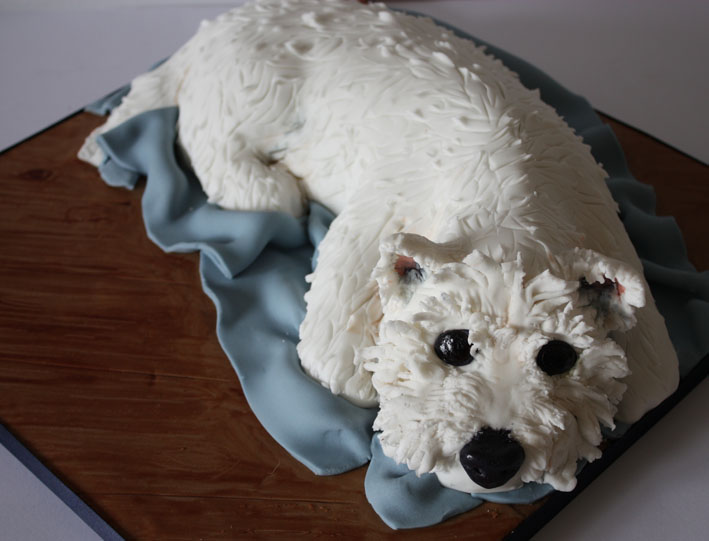 Sculpted Animal Cakes