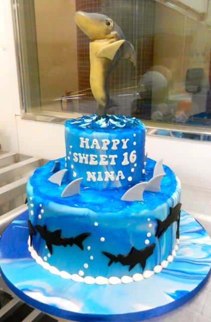 Shark Birthday Cake