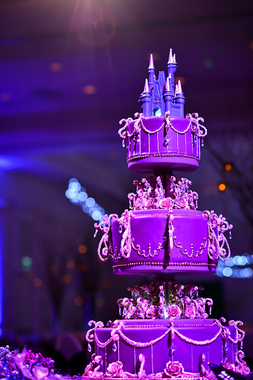 Walt Disney World Cake Walt Disney World Cake