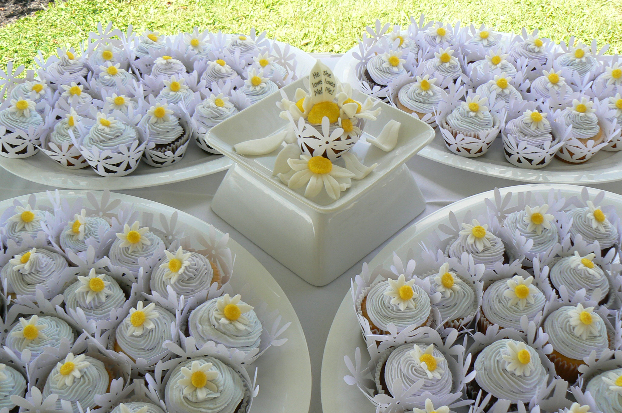 Wedding Cupcakes with Daisies