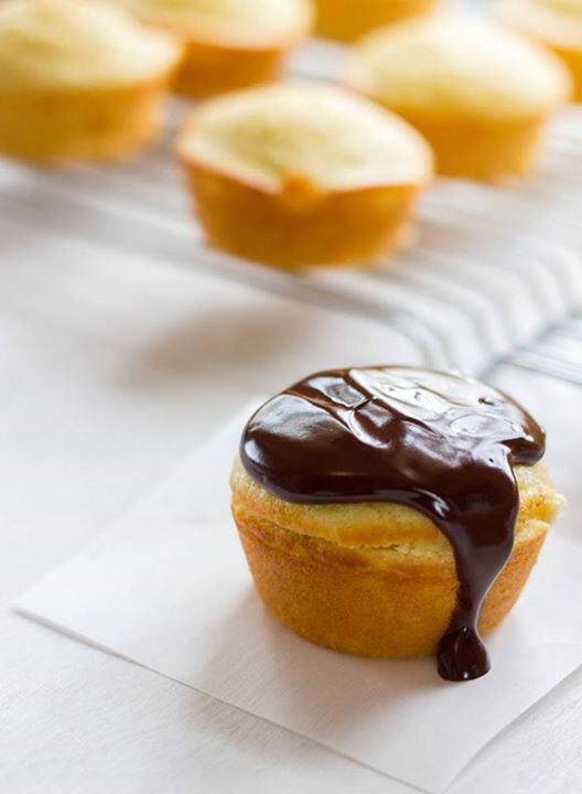 Boston Cream Cupcakes - Dan