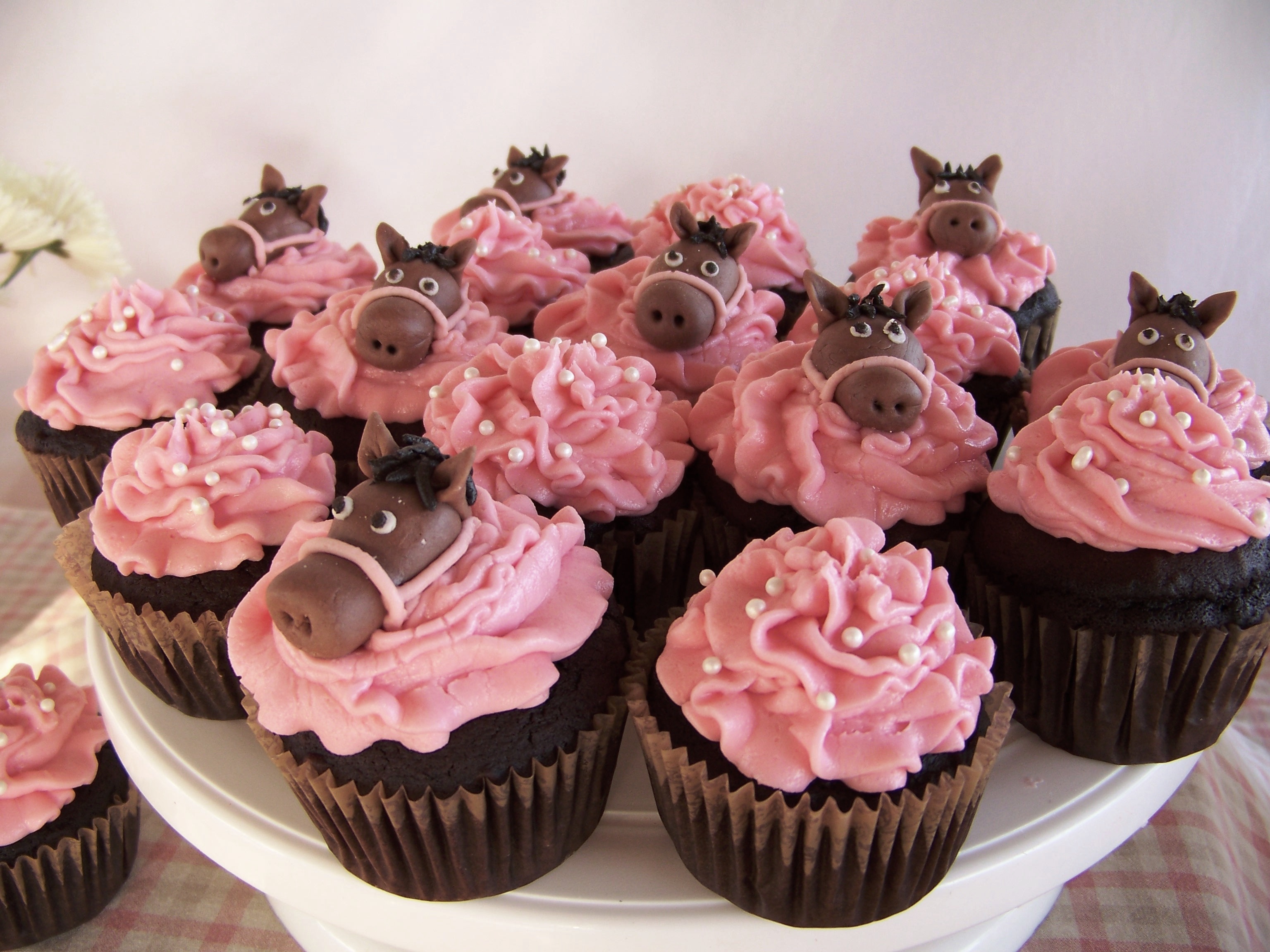 Horse Birthday Cupcakes Horse Birthday Cupcakes