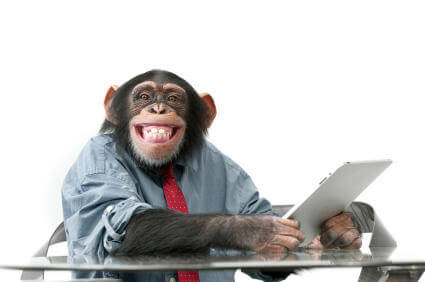 Monkey Working in Office Monkey Working in Office