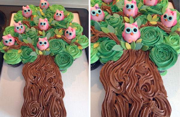 Owl Cupcake Cake