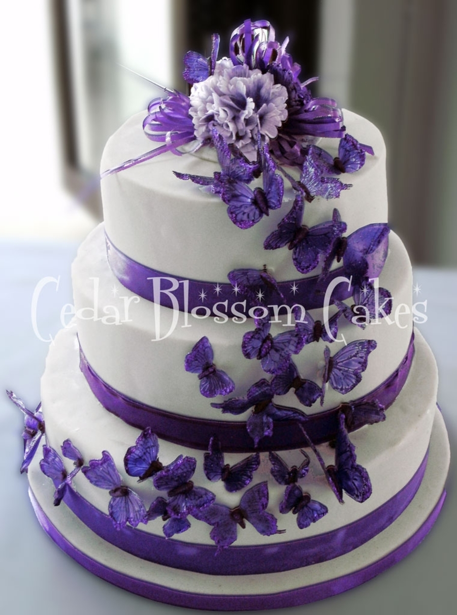 Purple Butterfly Cake