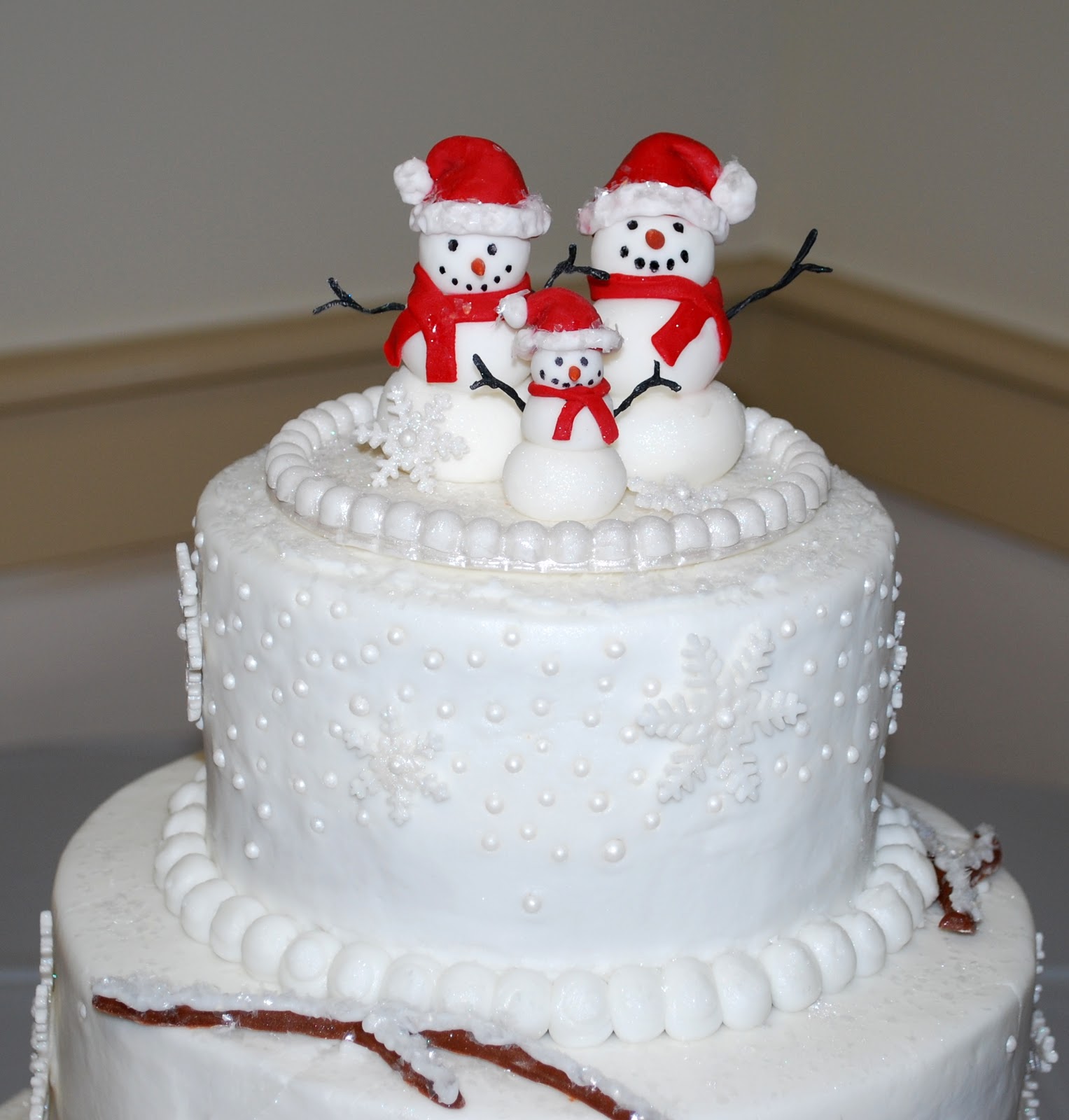 9 Photos of Winter Fondant Cakes