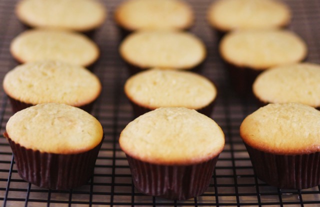 Yellow Cake Recipe From Martha Stewart