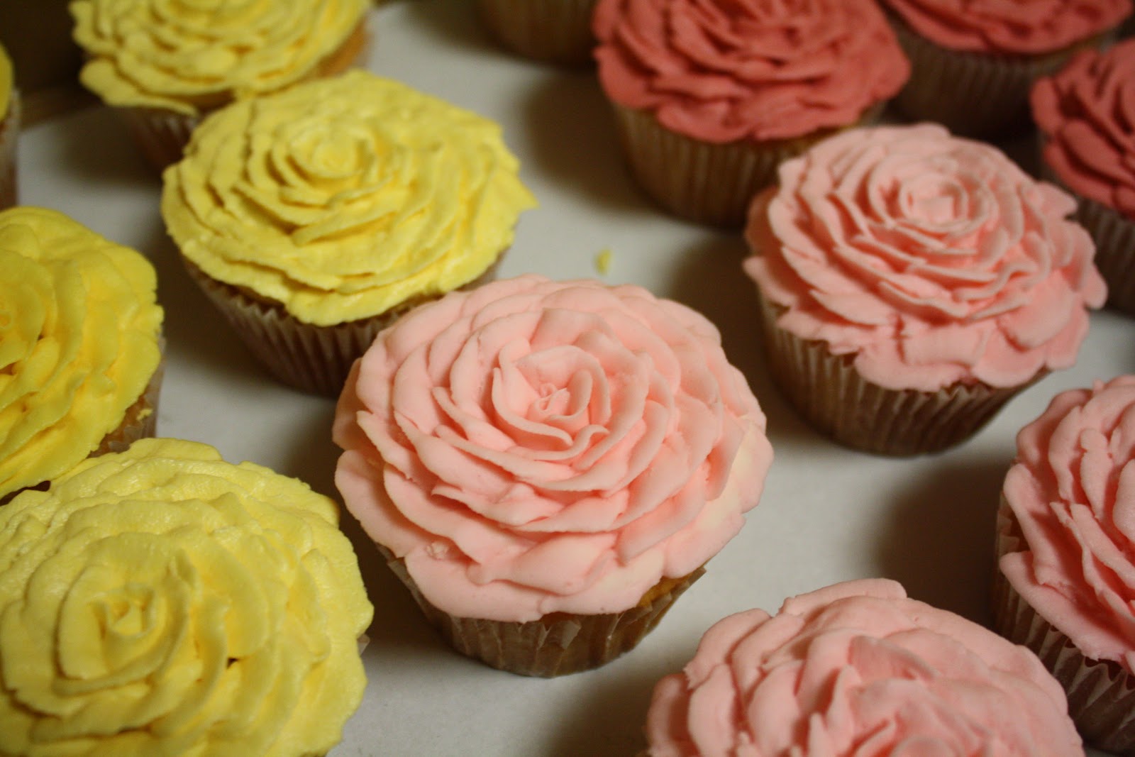 Buttercream Roses On Cupcakes