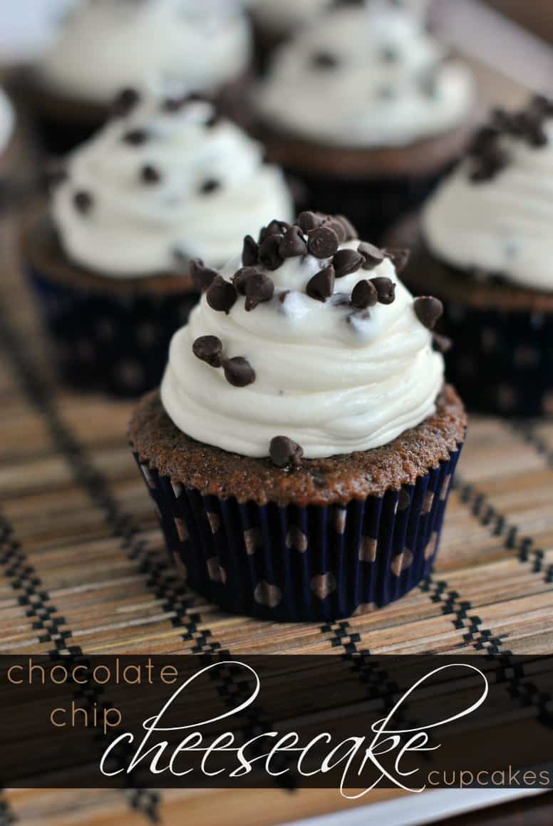 Chocolate Chip Cheesecake Cupcakes Chocolate Chip Cheesecake Cupcakes