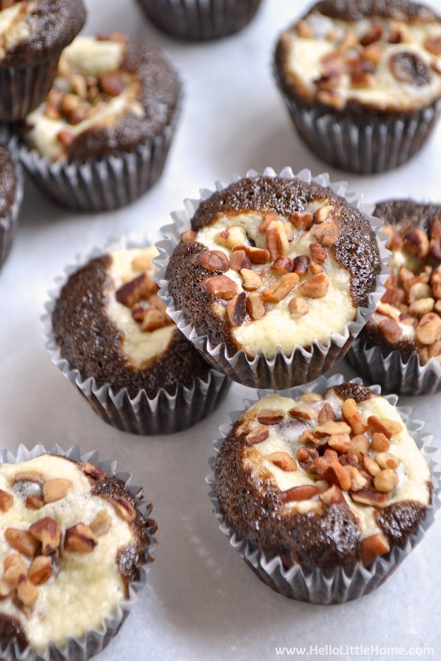 Chocolate Chip Mini Cheesecake Cupcakes