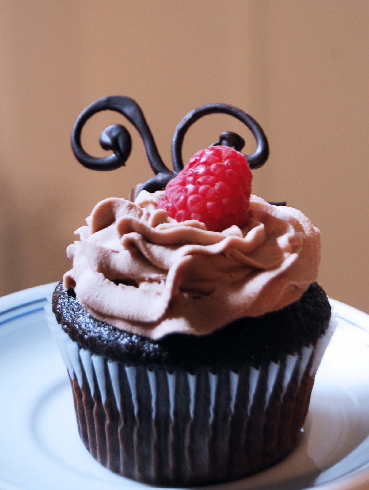 Chocolate Cupcakes with Raspberry Filling