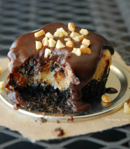 Chocolate Peanut Butter Mini Cheesecake Cupcakes