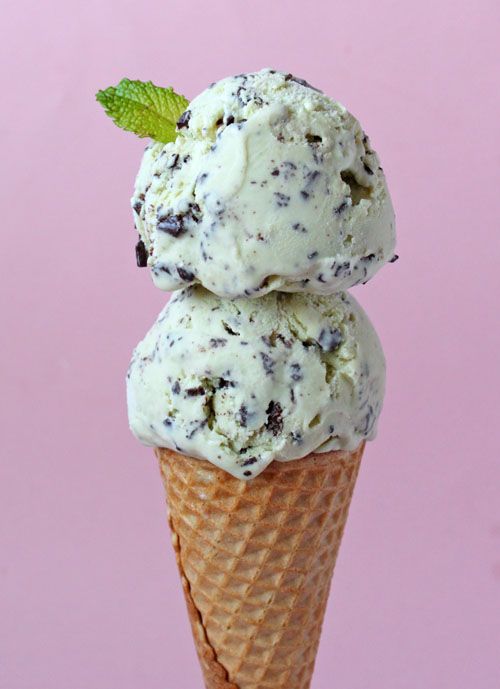 Mint Chip Ice Cream Mint Chip Ice Cream