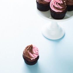 Pink Cupcake with Chocolate Frosting