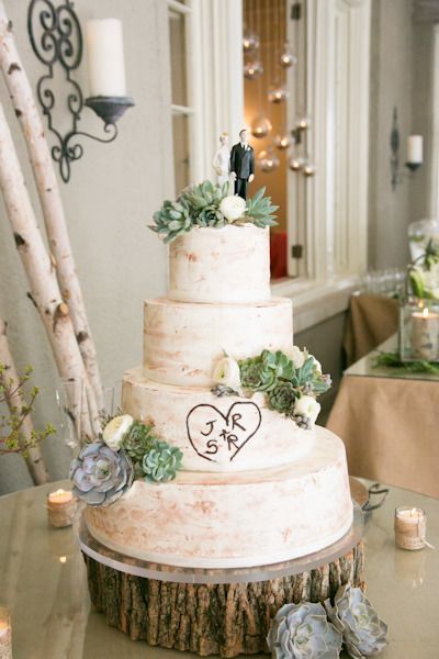Rustic Wedding Cake with Succulents