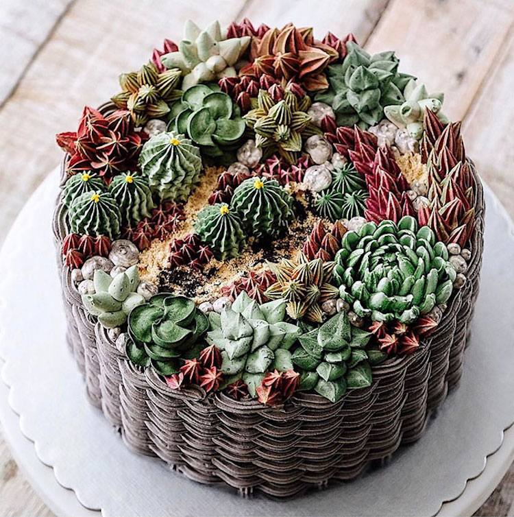 Succulent Cake Buttercream