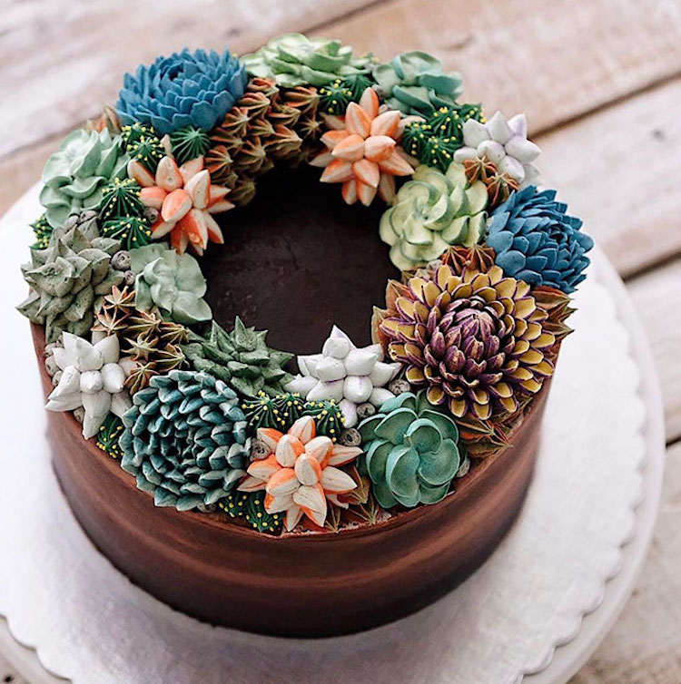 Succulent Cake