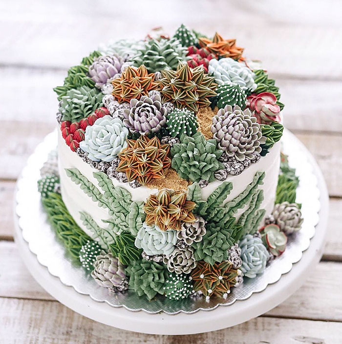 Succulent Cake