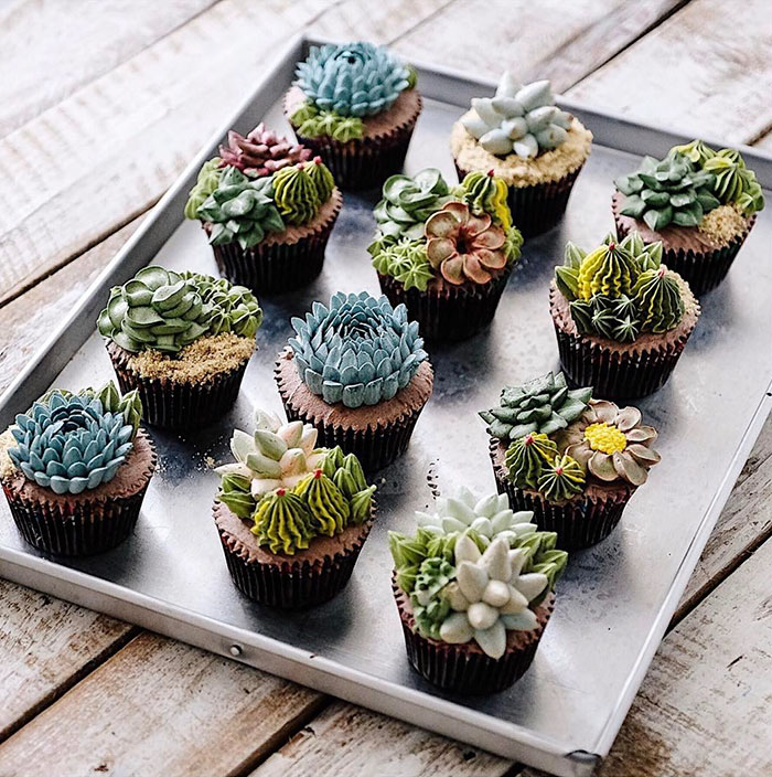 Succulent Cake