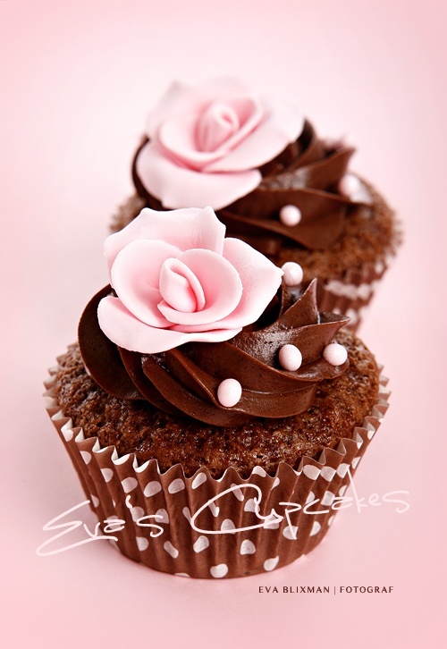 Beautiful Chocolate Cupcake