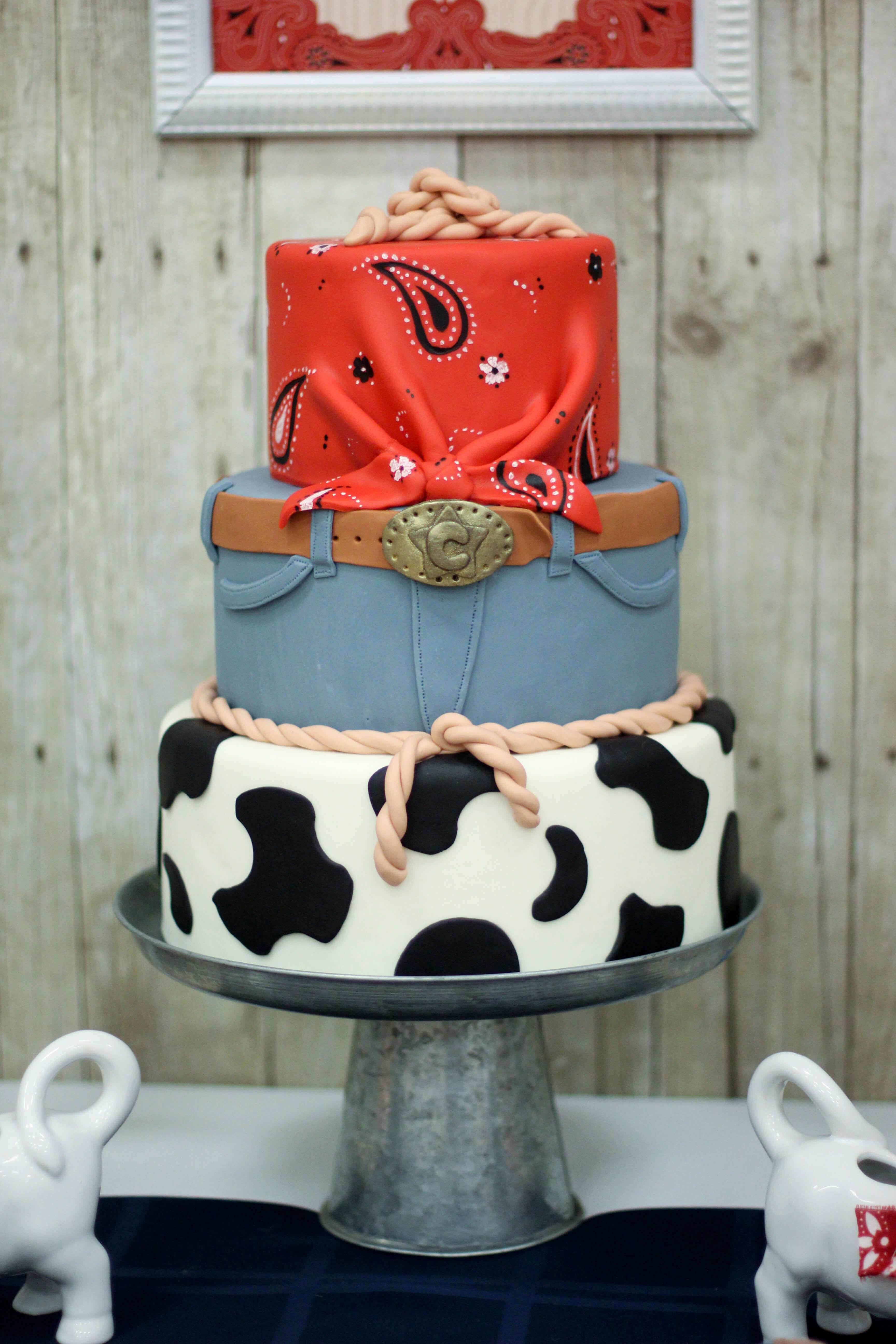 Cub Scout Cake Ideas Western Cub Scout Cake Ideas Western