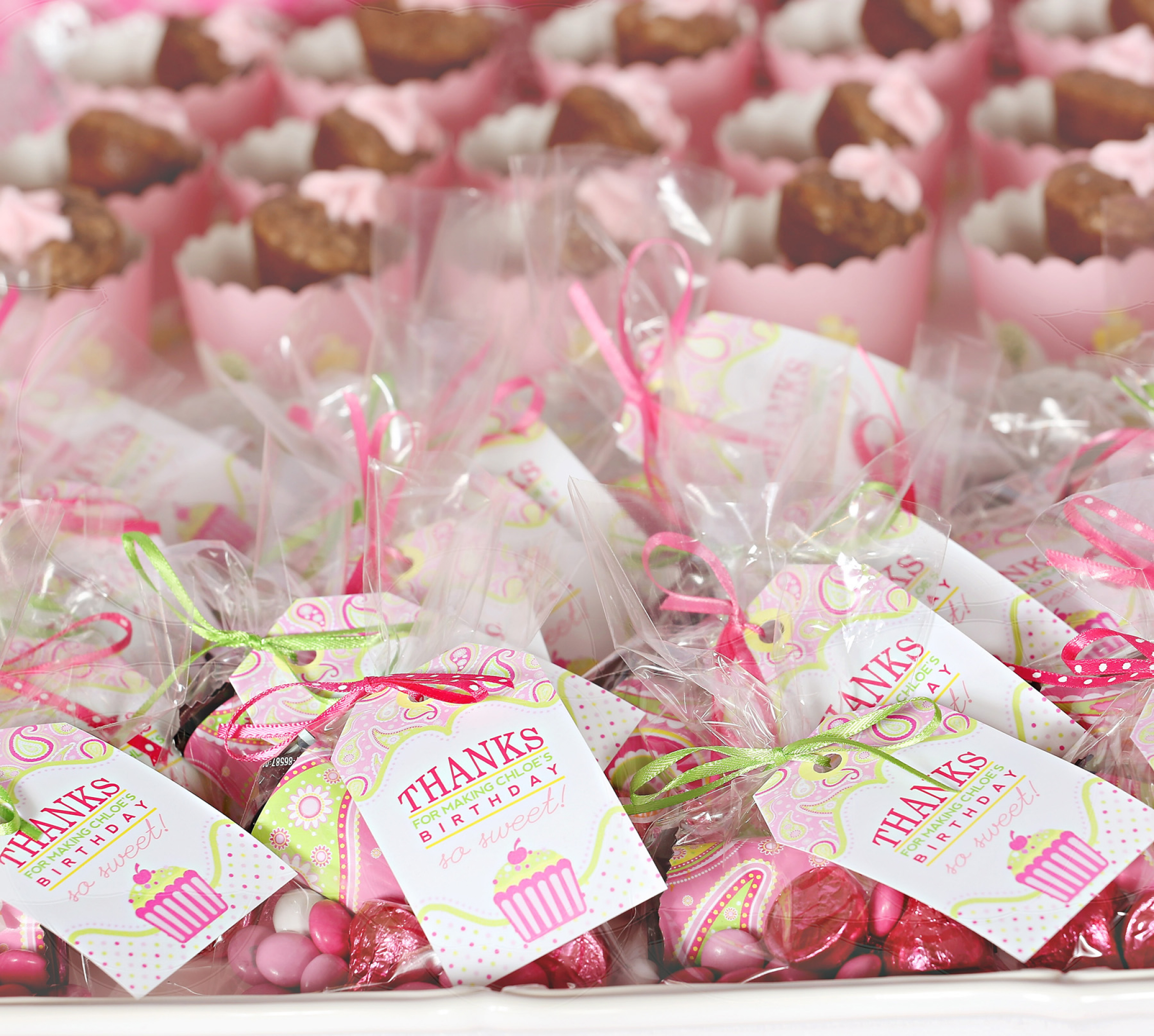Cupcake Birthday Party Favors