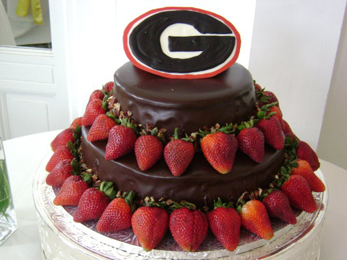 Georgia Bulldogs Grooms Cake
