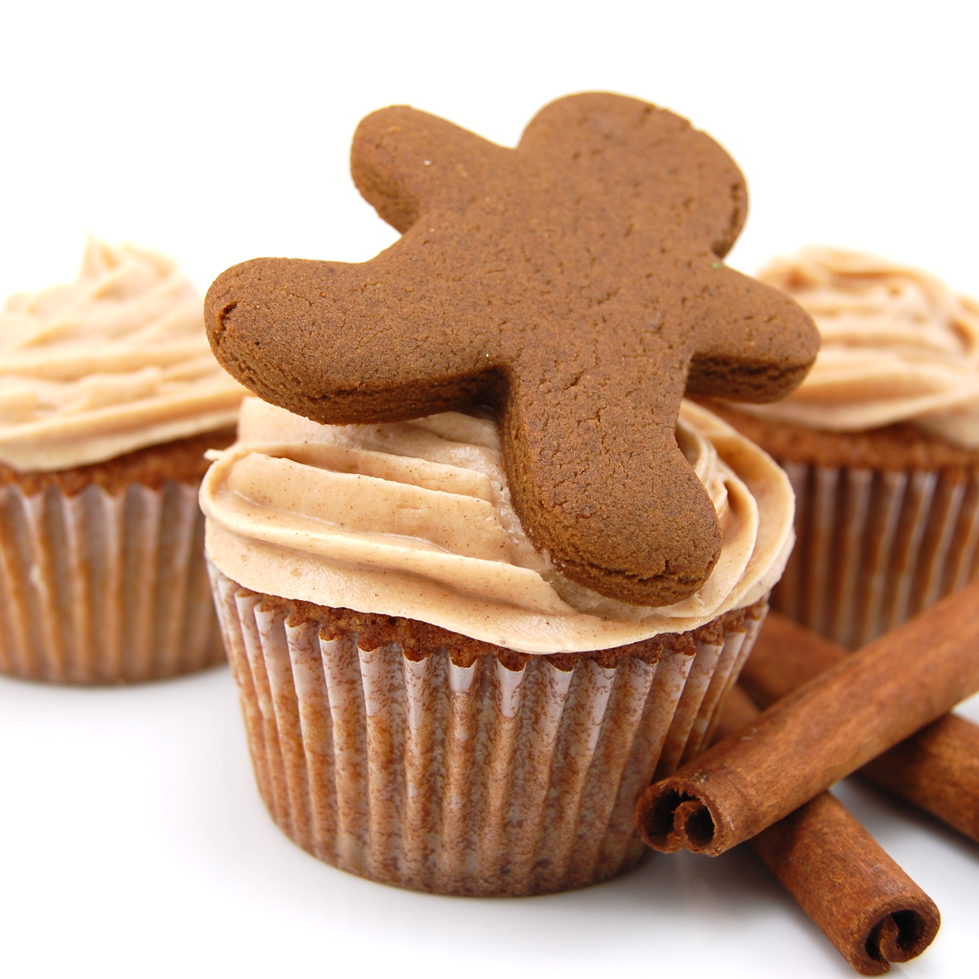 Gingerbread Cupcakes with Cinnamon Frosting