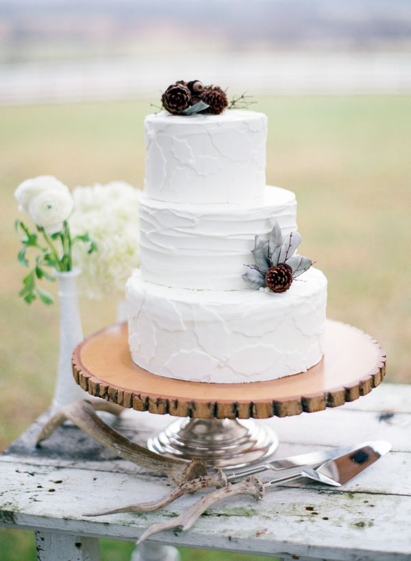 Pine Cone Winter Wedding Cake
