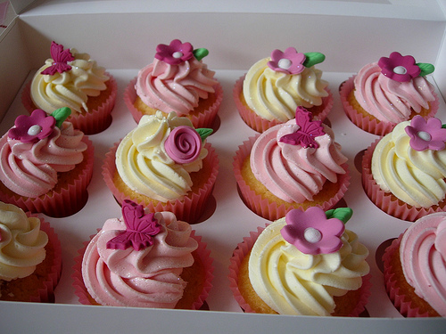 Pink Garden Bugs Cupcakes