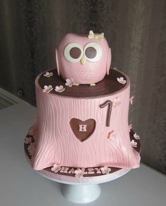 Pink Owl Birthday Cake