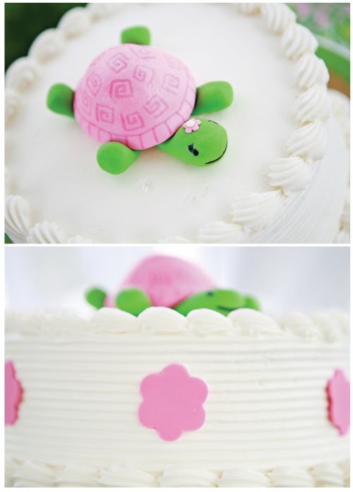 Pink Turtle Cake