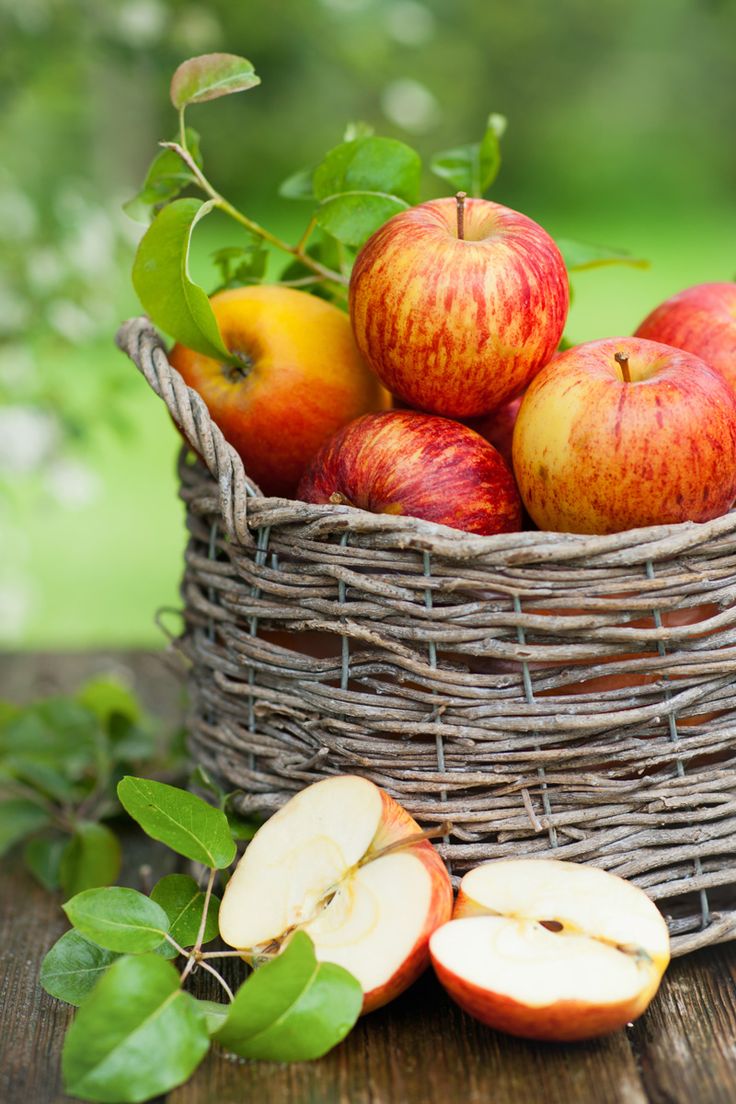 Apple Basket