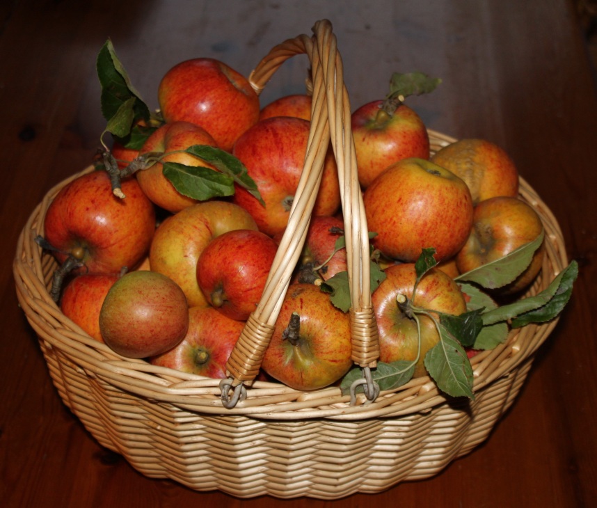 Apple Basket