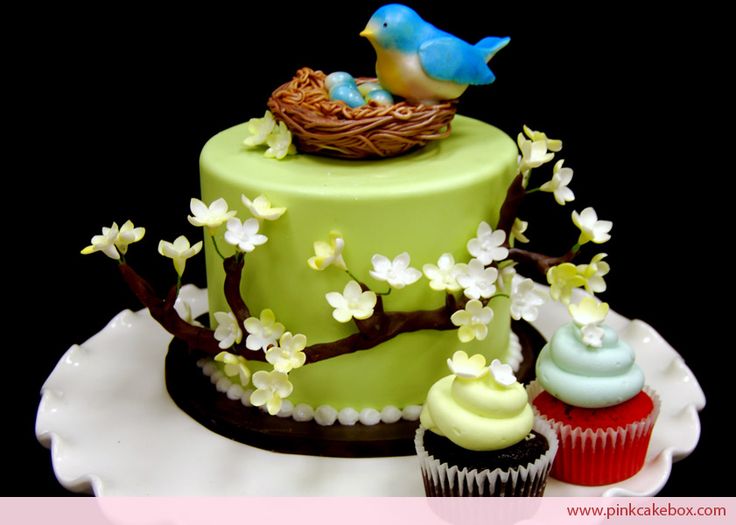 Birds Nest Baby Shower Cake