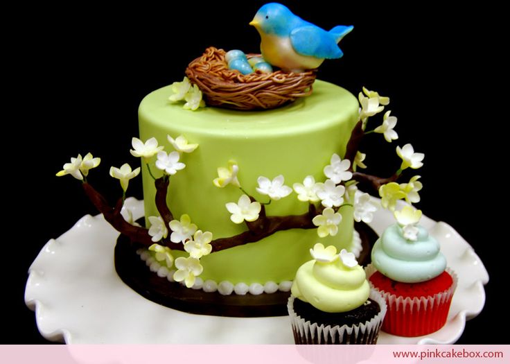 Birds Nest Baby Shower Cake Birds Nest Baby Shower Cake