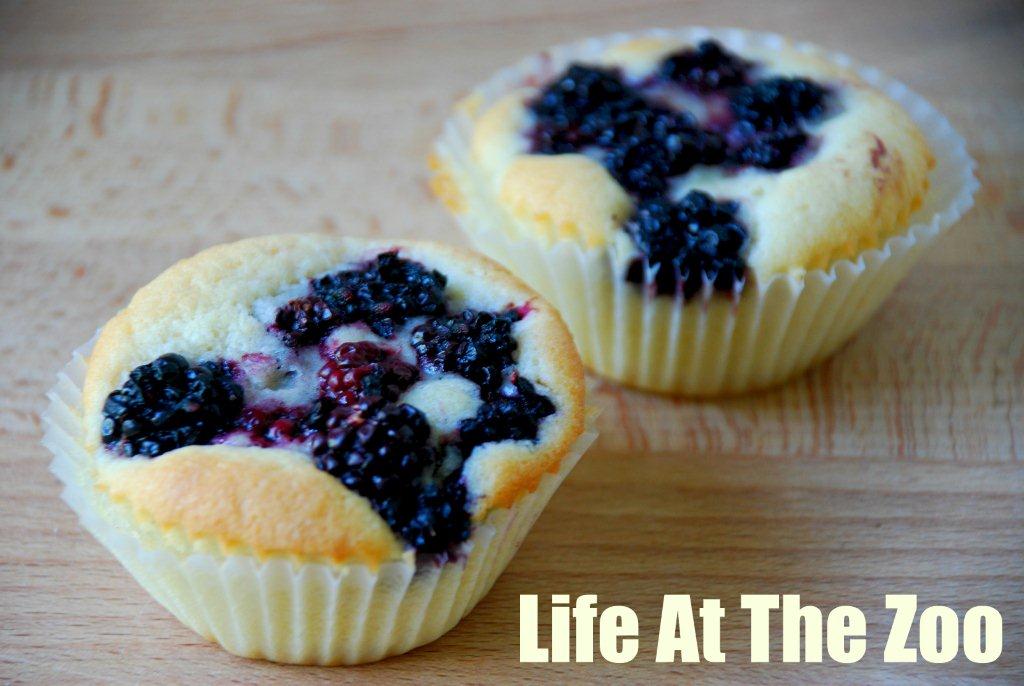 BlackBerry Cupcakes Recipe