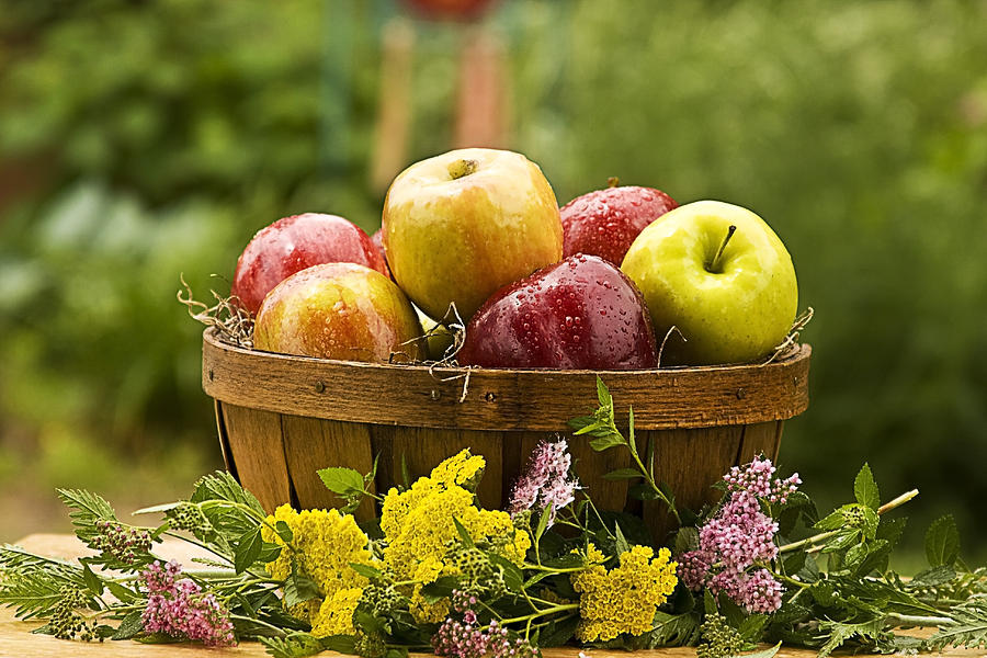 Country Apple Baskets