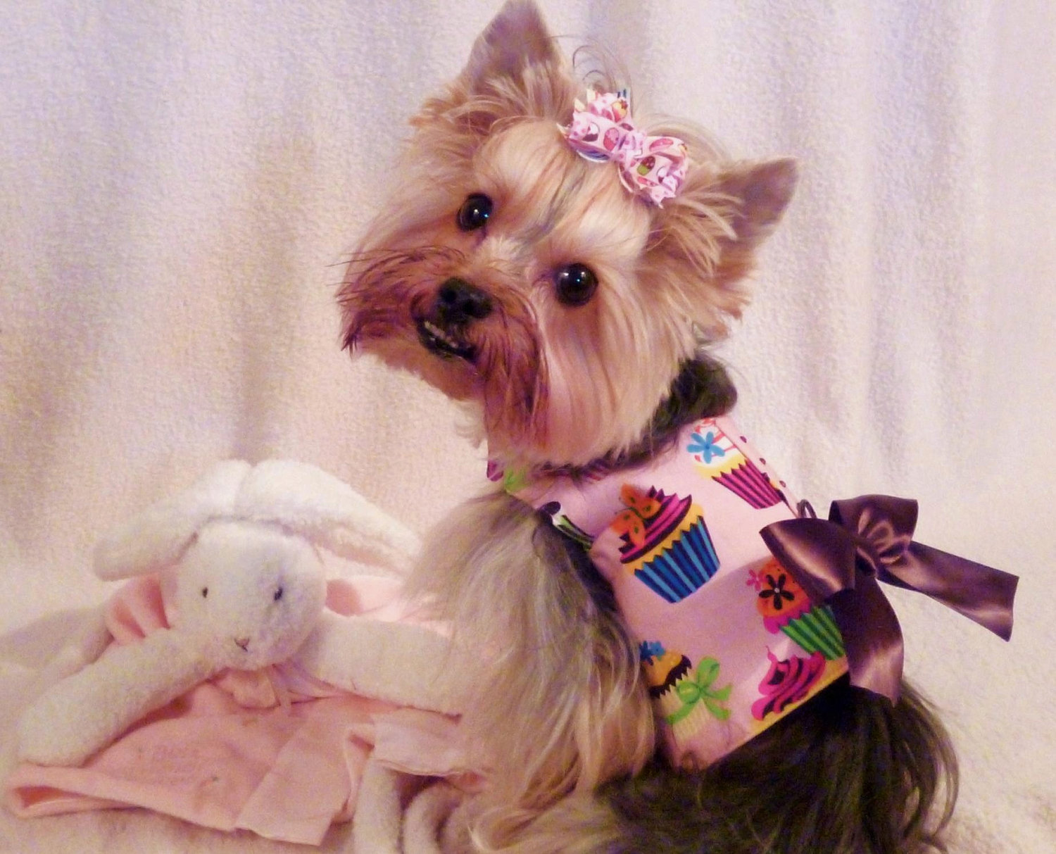 Cupcake Dog Costume Cupcake Dog Costume