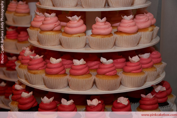 Find Pink Cake Box Find Pink Cake Box