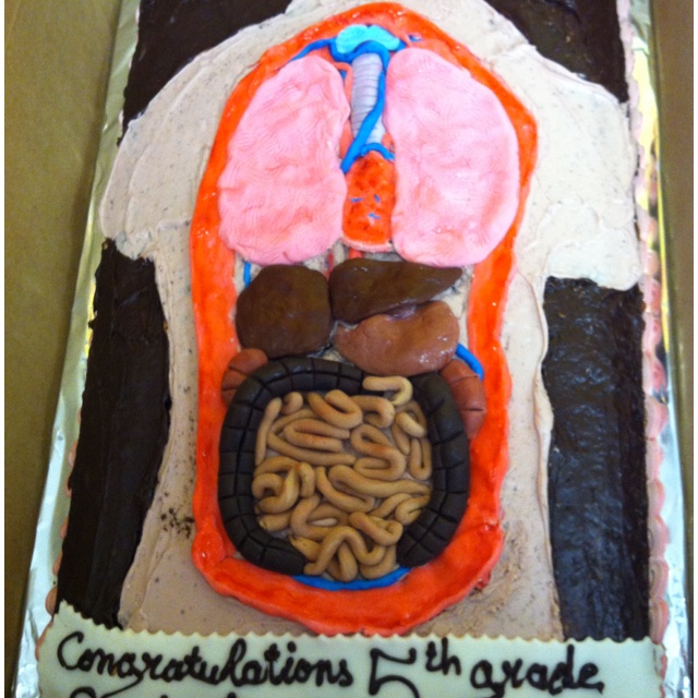 Human Anatomy Cake