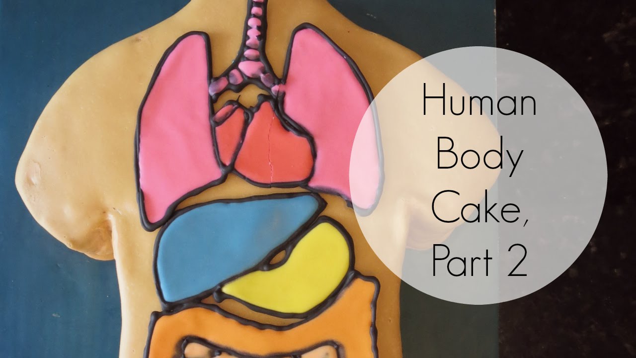 Human Body Parts Cake