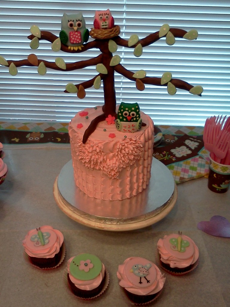 Owl Baby Shower Cake and Cupcakes