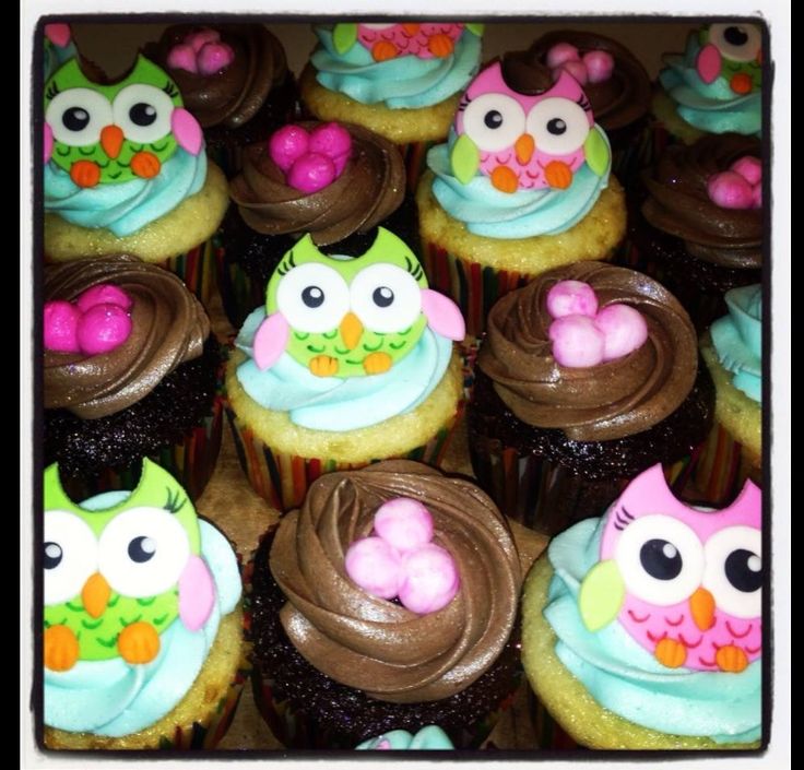 Owl Baby Shower Cupcakes