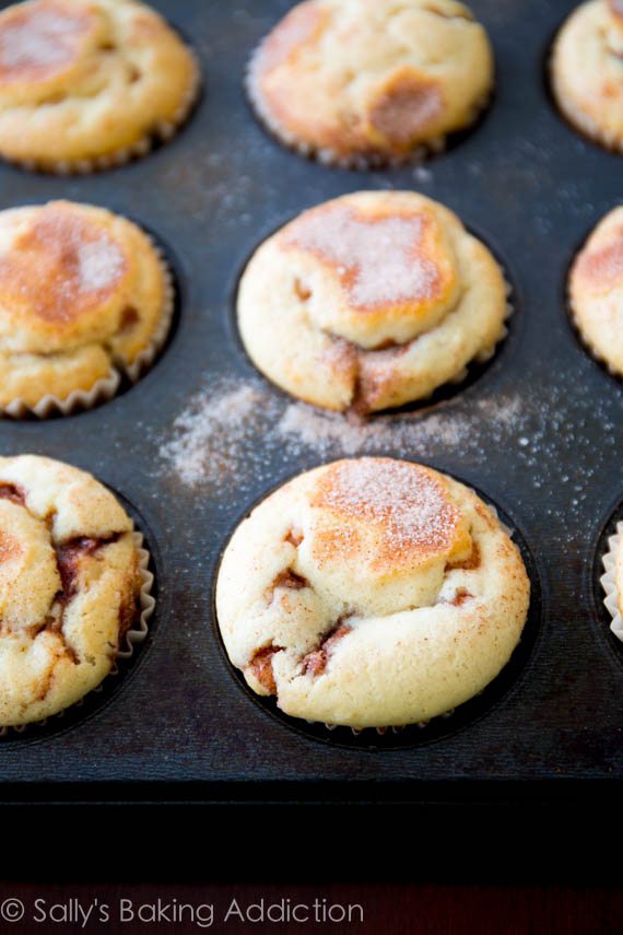 Snickerdoodle Cupcakes with Cinnamon Frosting