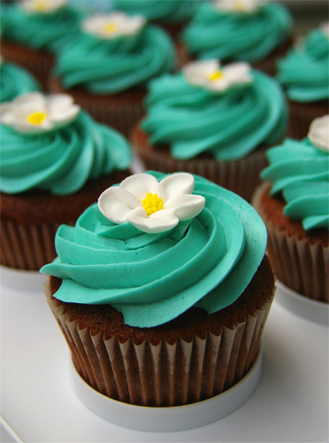 Teal Cupcakes with Chocolate Frosting