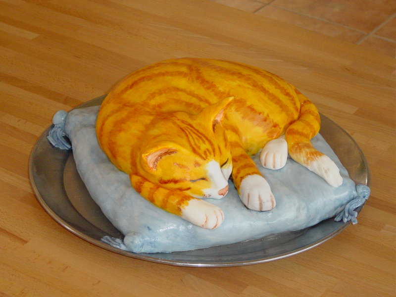 Amazing Cat Cake