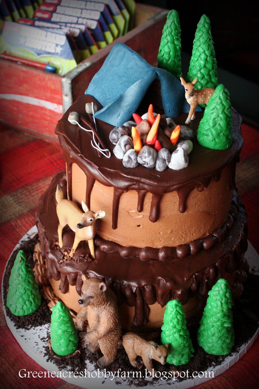 Camping Themed Birthday Party Cake