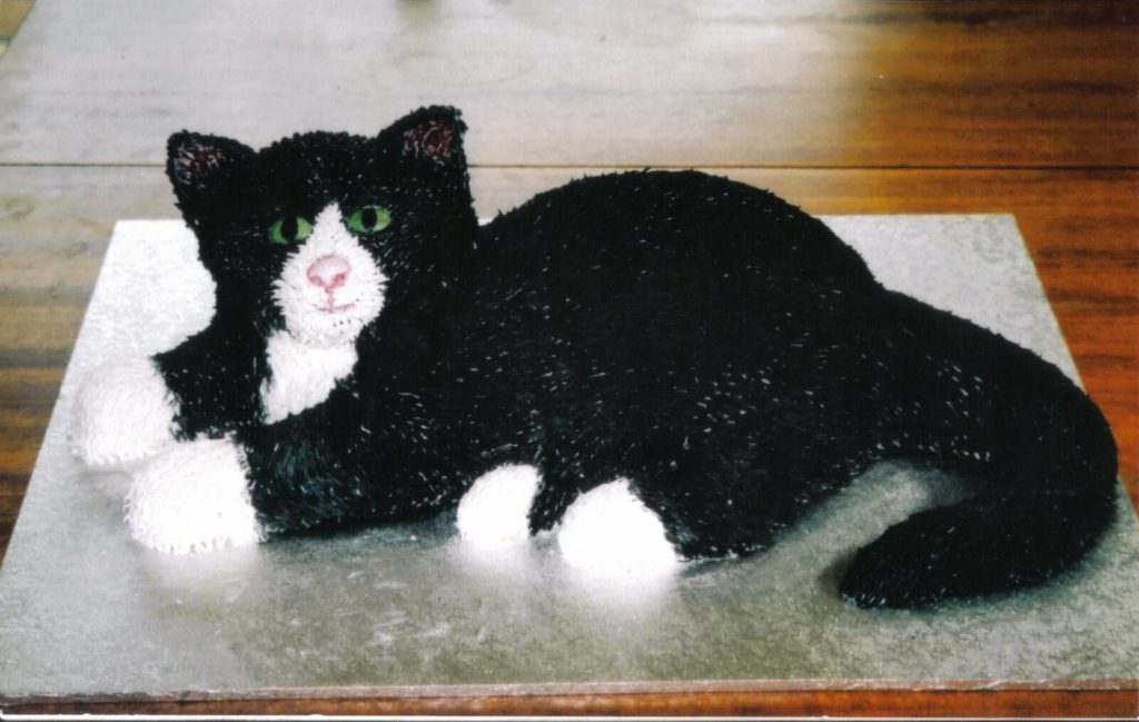 Cat Birthday Cake