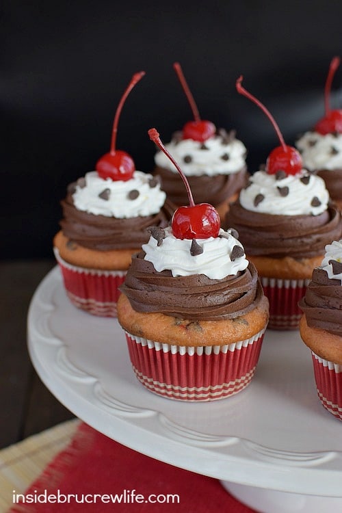 Cherry Chocolate Chip Cupcakes